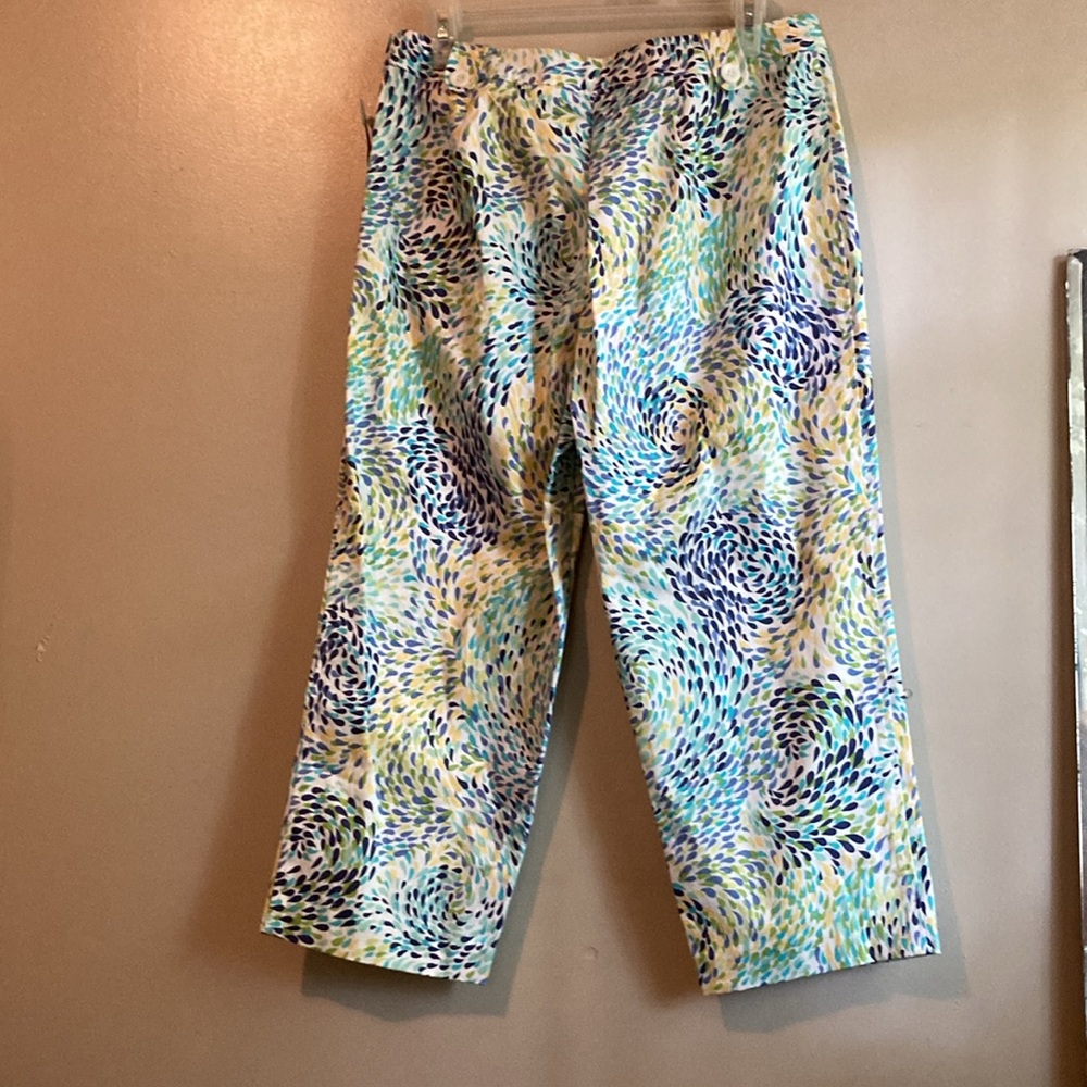 Talbots Capris zip up side size 12 petite. New with tags. - Picture 3 of 8